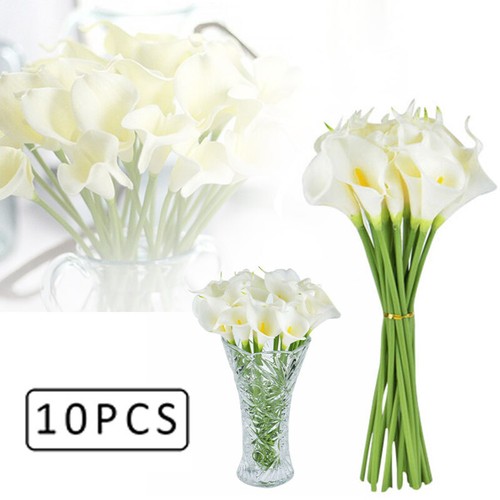 10x real touch medium cala - touch,
