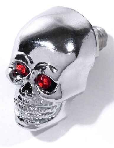 Skull screw license - skull,