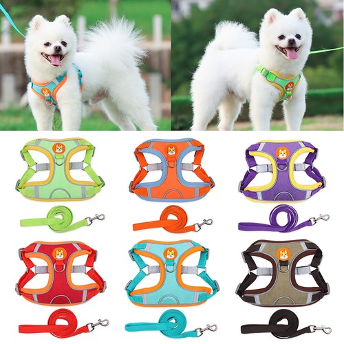 Cat pet harness and - and, small