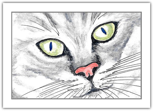Cat face portrait - face,
