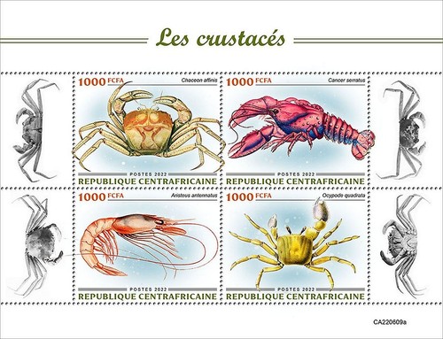 Crabs crustaceans sea marine - &,