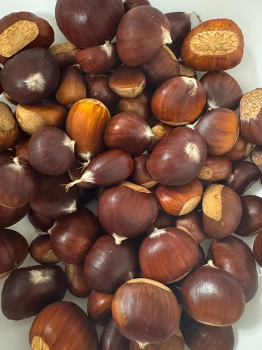 Chestnuts freshly picked - chestnuts,