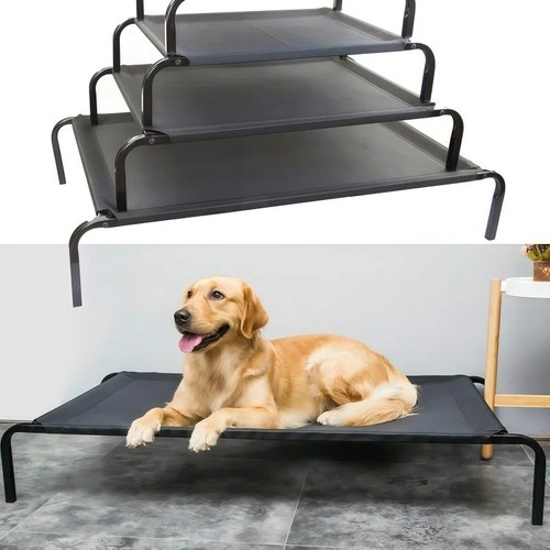 Waterproof elevated dog - elevated,