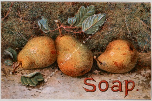 Pears soap three fruit - soap,