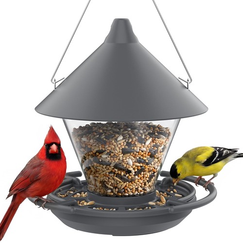 Wild bird feeder - bird, outdoors