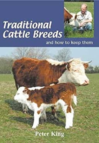 Traditional cattle breeds - cattle,