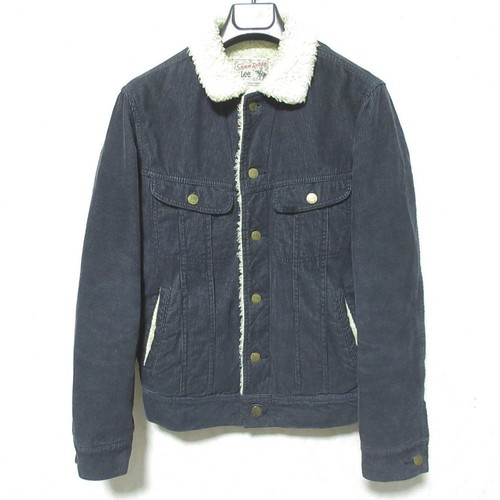 Lee journal standard storm - lee,