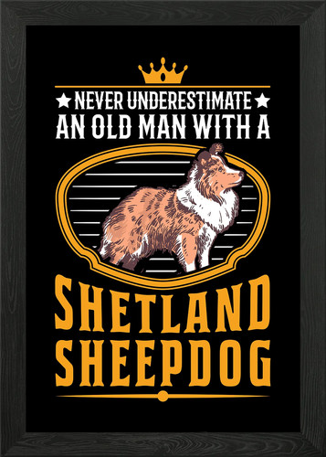 Sheltie old man - sheltie,