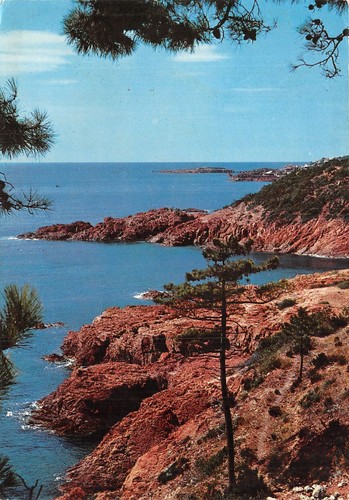 Esterel 4410 c 0389 - 83-esterel-n�, 4410-c/0389