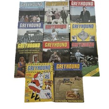 11 x 1983 Greyhound Dog Racing
