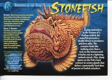 Weird N’ Wild Creatures