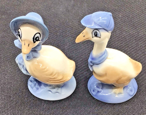 Szeiler ducks pair mr and - szeiler,