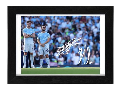 Silva stones signed - photo, pre