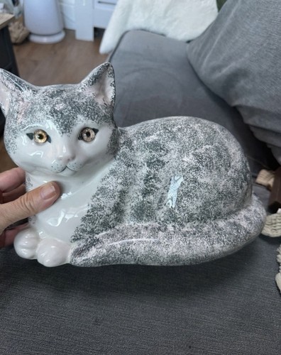 Just cats co staffordshire - &,