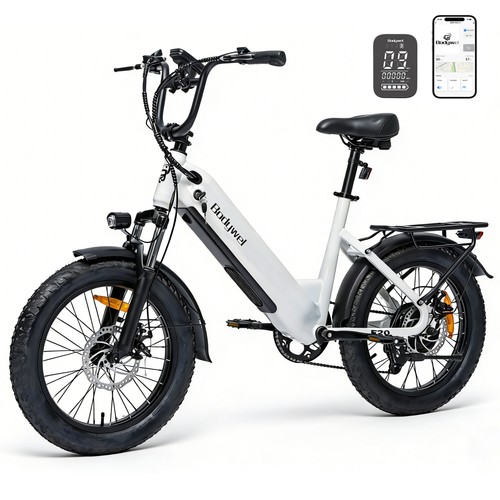 Bodywel f20 electric bike 48v - electric,
