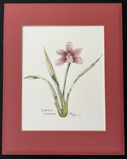 Original Botanical Watercolor