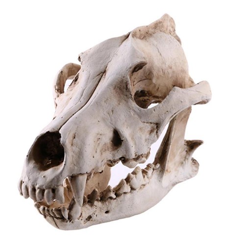 Resin snow wolf - snow-wolf, head