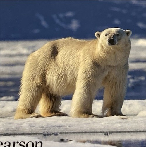 Campbell biology concepts - campbell, &