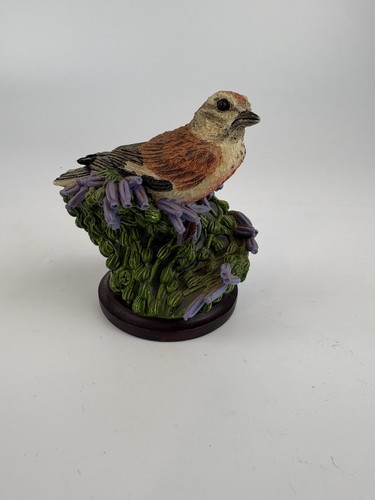 The country bird collection - the,