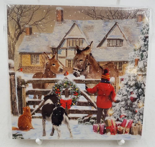 Rspca hhb charity christmas - hhb,