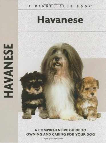 Havanese comprehensive - a,