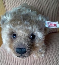 31cm Steiff Ltd Ed 2011 YES/NO Grizzly Bear Gold Button & White Label 174/1500