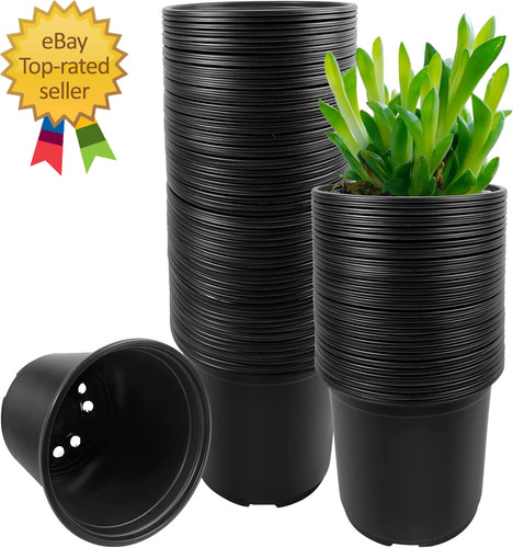 100 pack nursery - 100,