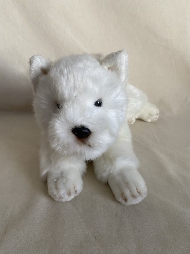 Suki west highland terrier - west,