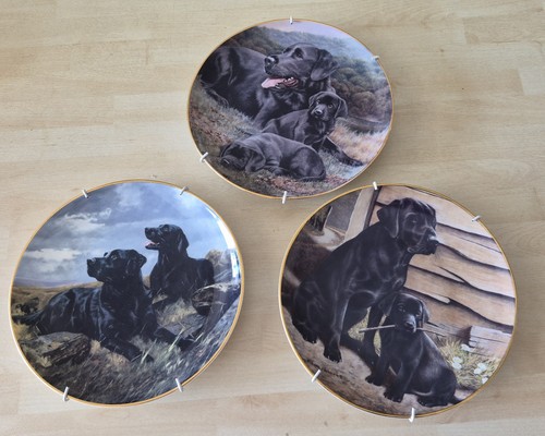 Franklin mint labrador - franklin,