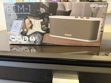 ROLAND BTM-1 Bluetooth Speaker