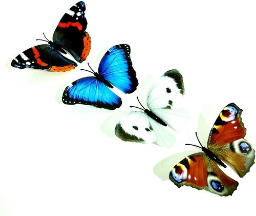 Garden decoration butterflies - garden,