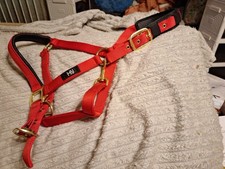 Hy Red Cob Headcollar New Without Tags