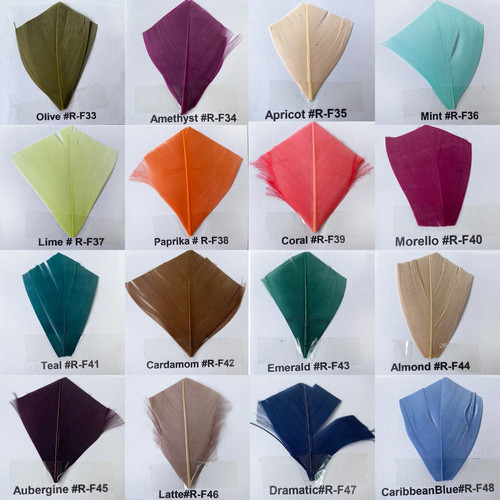 Stripped coque feather - coque,