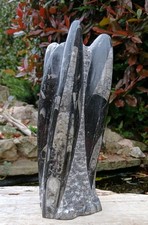 Freestanding orthoceras fossil - freestanding,