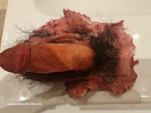 Severed prosthetic penis prop - penis,