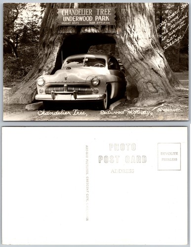 Rppc chandelier tree underwood - tree,