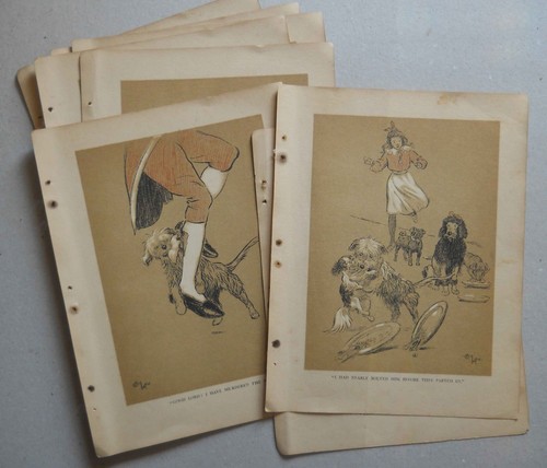 Dogs cecil aldin - dogs,