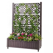 Raised Garden Bed with Lattice