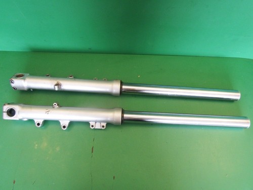 Triumph non adjustable - triumph,