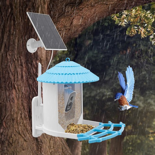 Modern bird feeder - feeder, with