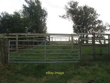 Photo 6x4 Cattle Handling Pen