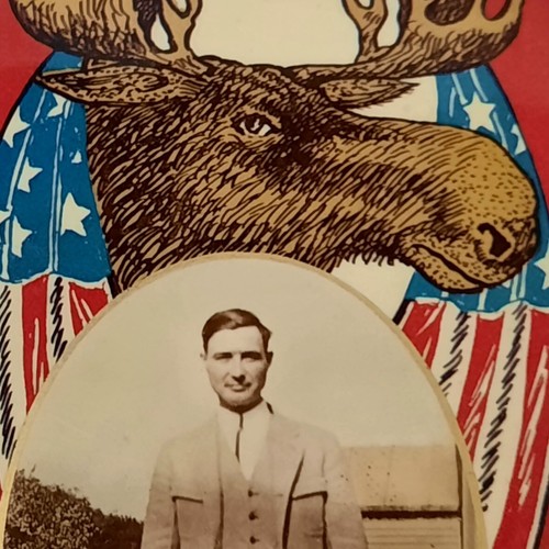 Loyal order moose framed - order,