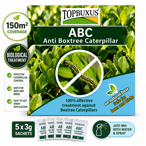 Topbuxus abc box tree moth - abc,