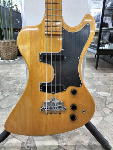 Gibson usa standard - gibson,