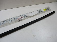 Focus door weather strip mk2