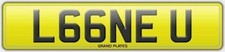 Number plate L66 NEU