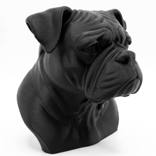 American bulldog dog bust - american,