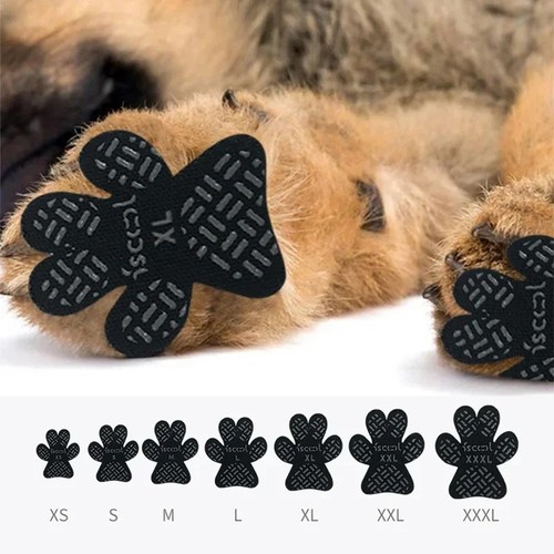 Dog anti slip - slip, paw