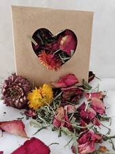 Rabbit Hamster Guinea Pig