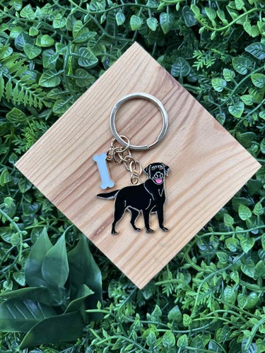 Black labrador retriever - black,